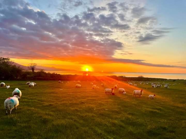 Lighthouse View Tralee